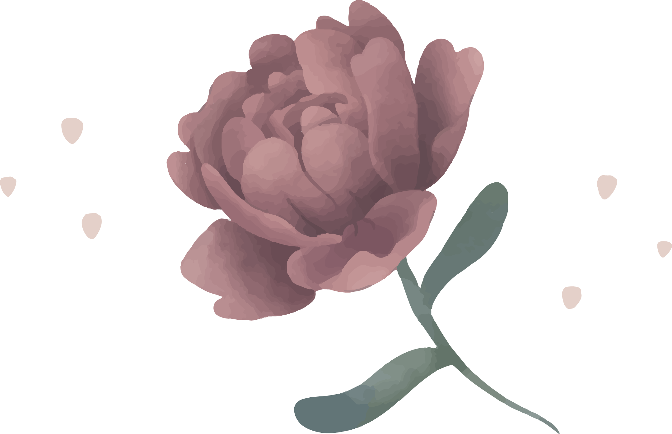 PETU FRIEND FLOWER 2